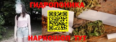индика Кимры