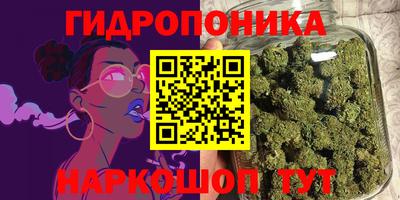 экстази Кингисепп