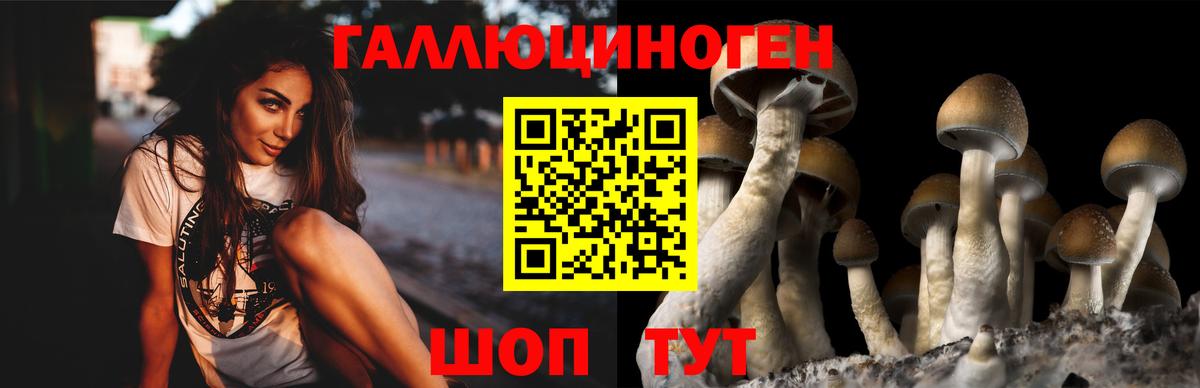 Псилоцибиновые грибы мицелий  Псилоцибиновые грибы ЛСД  Конаково  Вход с VPN 